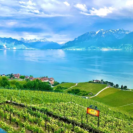 Luxury App For 2 Or 4 Pers Centre View *